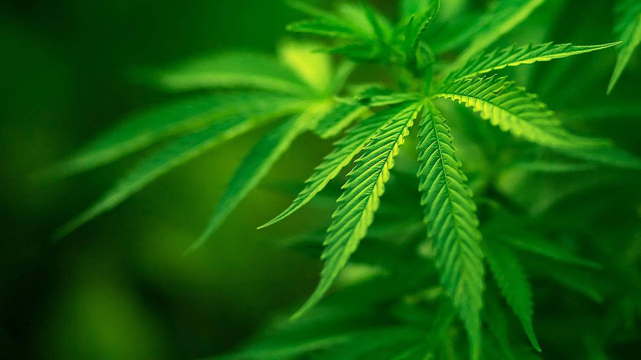快手作品刷双击微信支付_快手刷双击可以微信支付_快手刷双击秒刷微信支付不限流