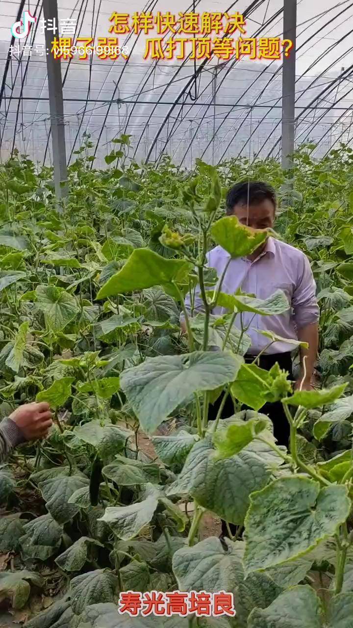 闲鱼怎么粉丝多_闲鱼的粉丝_闲鱼粉丝有用吗