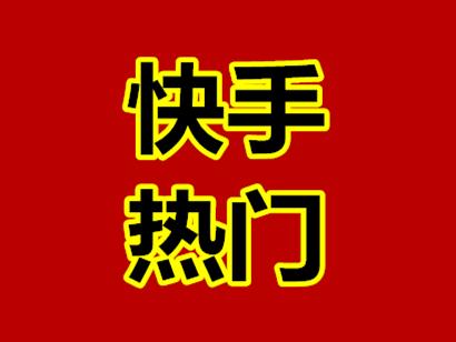 快手赞赞宝_赞快手赚钱_赞赏快手