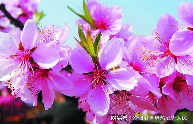 拼多多助力刷人软件新人_拼多多新用户刷助力网站_最新拼多多助力刷人群