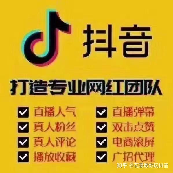 抖音播放量怎么卖_抖音播放卖量有收益吗_抖音播放量值钱吗