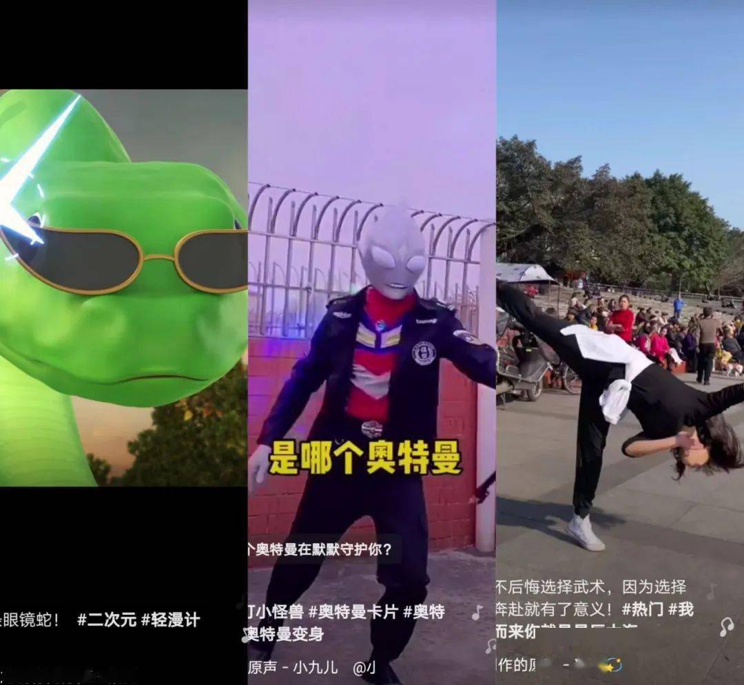微博领域粉丝_微博粉丝趋势链接_微博粉丝链接