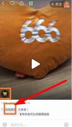 粉丝下单链接_粉丝连接_粉丝订单什么意思
