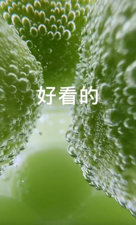 抖音24小时自助服务_抖音24小时自助服务平台_抖音自助软件