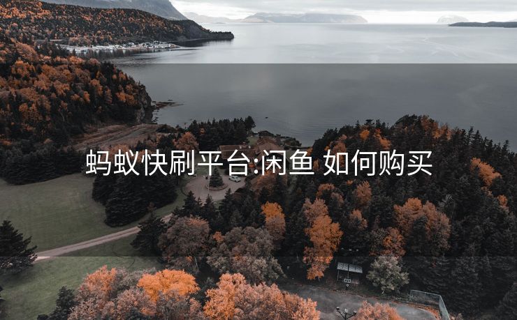 蚂蚁快刷平台:闲鱼 如何购买