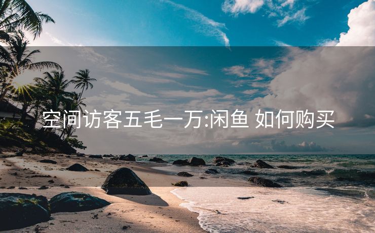 空间访客五毛一万:闲鱼 如何购买