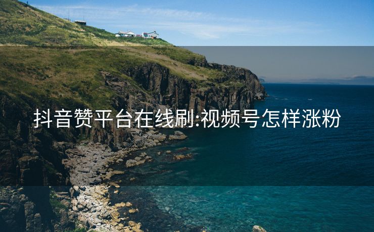 抖音赞平台在线刷:视频号怎样涨粉