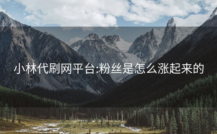 小林代刷网平台:粉丝是怎么涨起来的