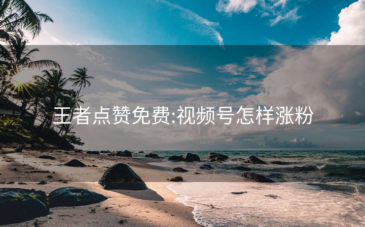 王者点赞免费:视频号怎样涨粉