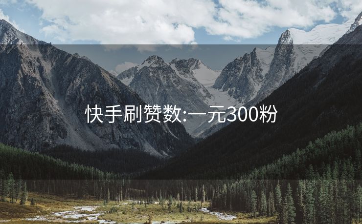 快手刷赞数:一元300粉
