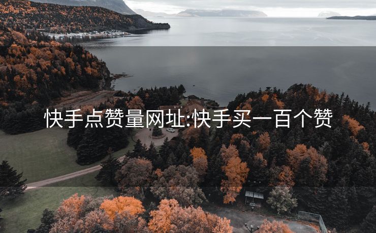快手点赞量网址:快手买一百个赞