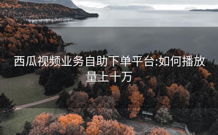 西瓜视频业务自助下单平台:如何播放量上十万