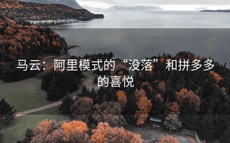 马云：阿里模式的“没落”和拼多多的喜悦