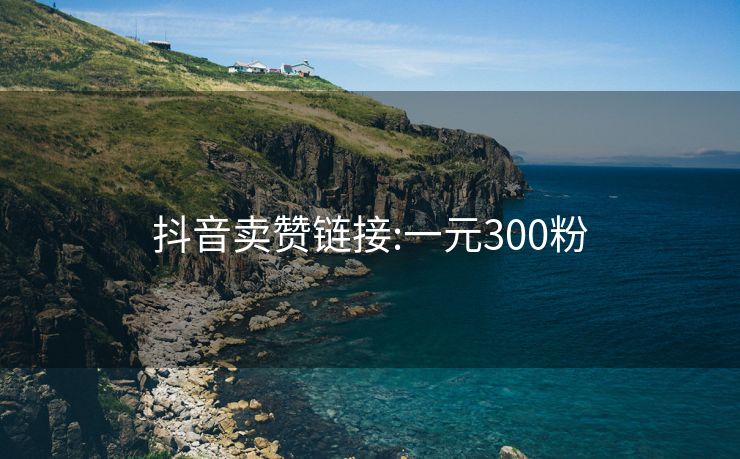 抖音卖赞链接:一元300粉