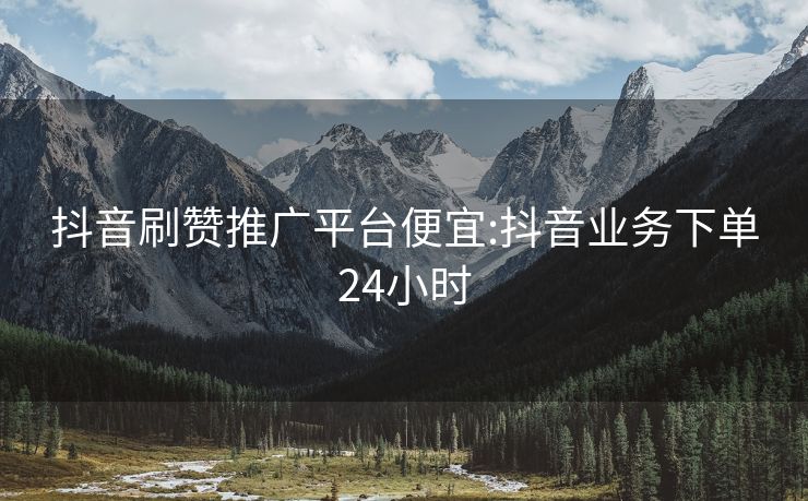 抖音刷赞推广平台便宜:抖音业务下单24小时