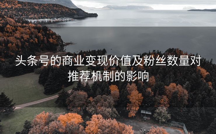 头条号的商业变现价值及粉丝数量对推荐机制的影响