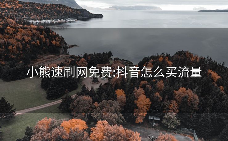 小熊速刷网免费:抖音怎么买流量
