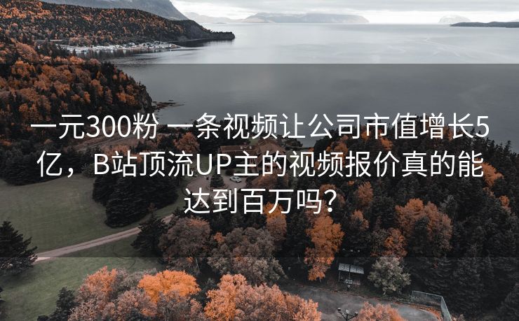 一元300粉 一条视频让公司市值增长5亿，B站顶流UP主的视频报价真的能达到百万吗？