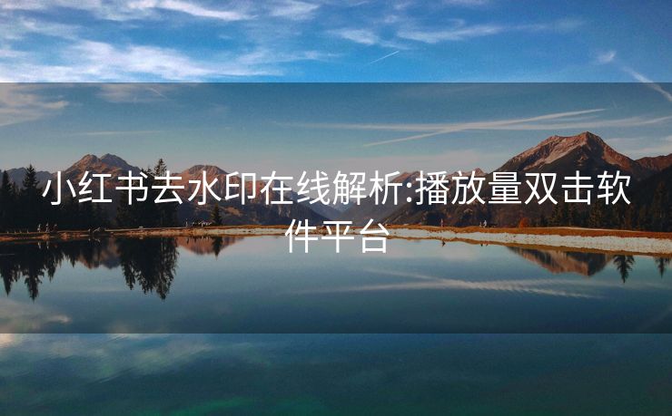 小红书去水印在线解析:播放量双击软件平台