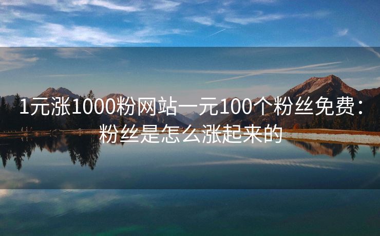1元涨1000粉网站一元100个粉丝免费：粉丝是怎么涨起来的