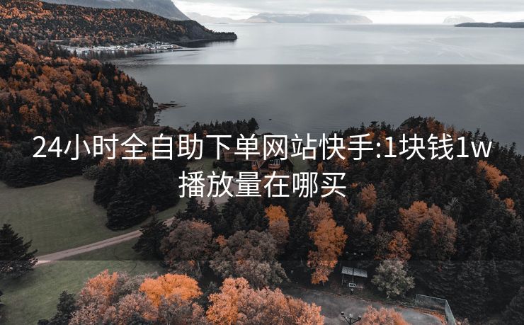 24小时全自助下单网站快手:1块钱1w播放量在哪买