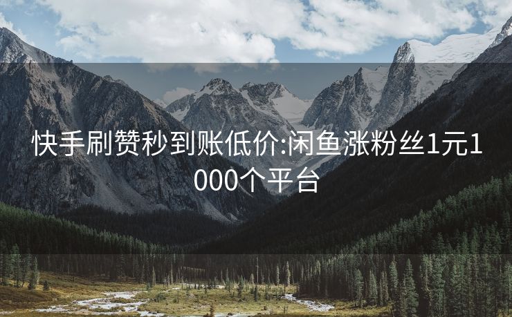 快手刷赞秒到账低价:闲鱼涨粉丝1元1000个平台