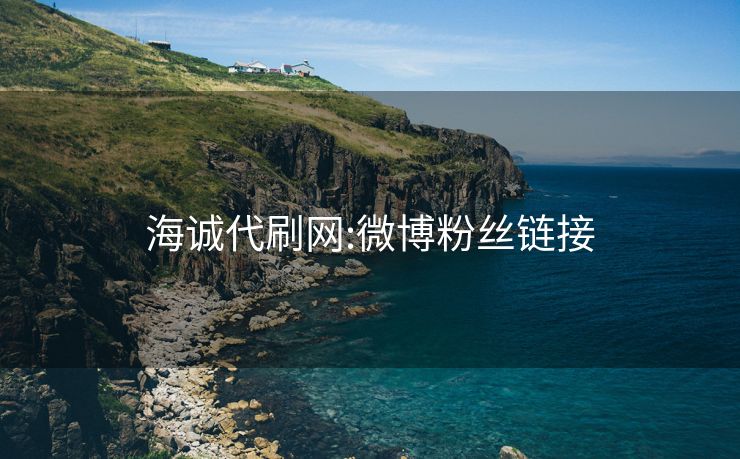 海诚代刷网:微博粉丝链接