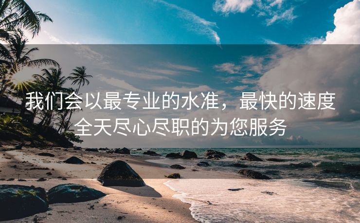 我们会以最专业的水准，最快的速度全天尽心尽职的为您服务