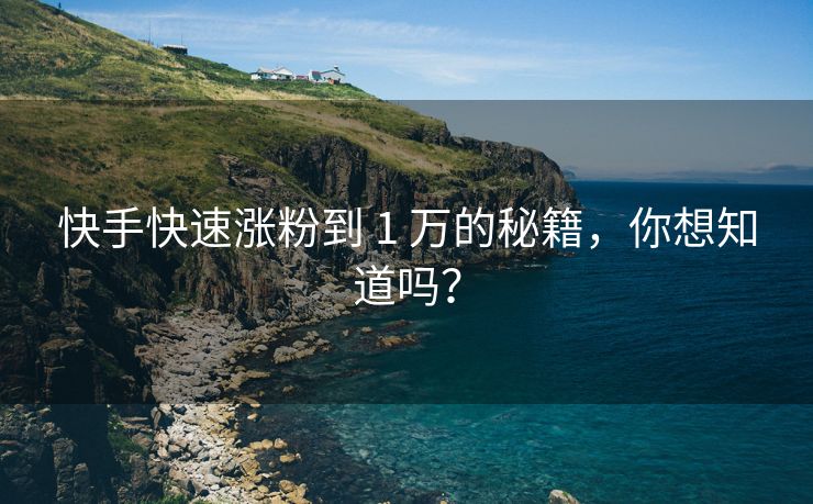 快手快速涨粉到 1 万的秘籍，你想知道吗？