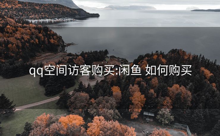 qq空间访客购买:闲鱼 如何购买