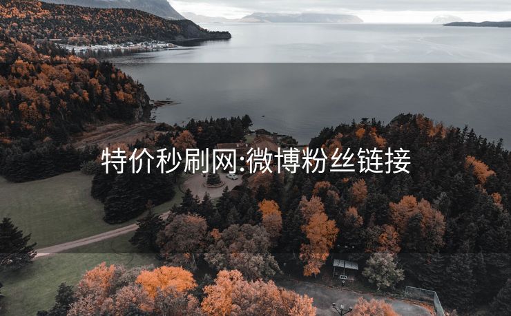 特价秒刷网:微博粉丝链接