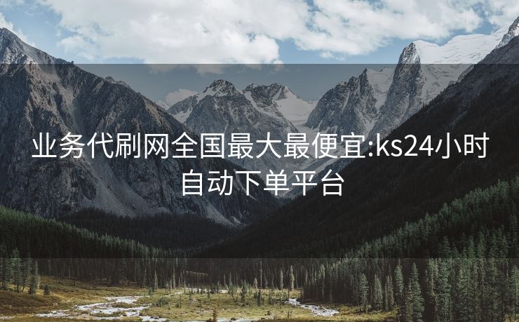 业务代刷网全国最大最便宜:ks24小时自动下单平台