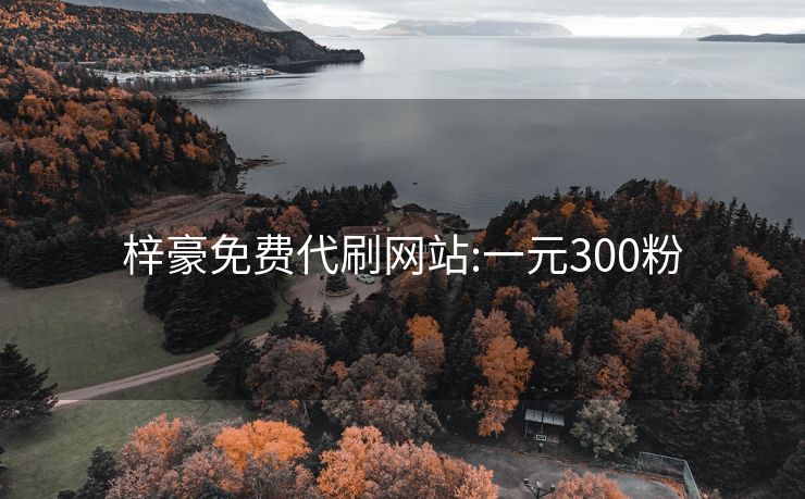 梓豪免费代刷网站:一元300粉