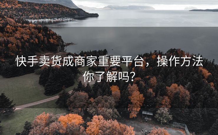 快手卖货成商家重要平台，操作方法你了解吗？