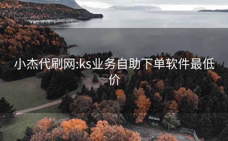 小杰代刷网:ks业务自助下单软件最低价