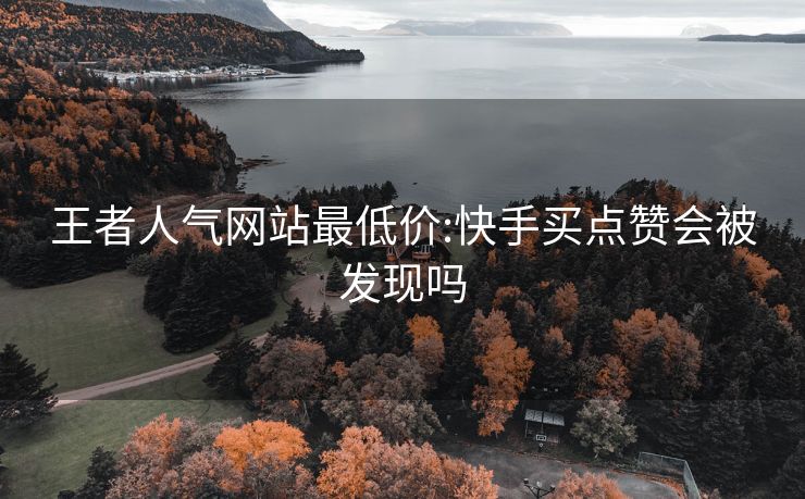 王者人气网站最低价:快手买点赞会被发现吗