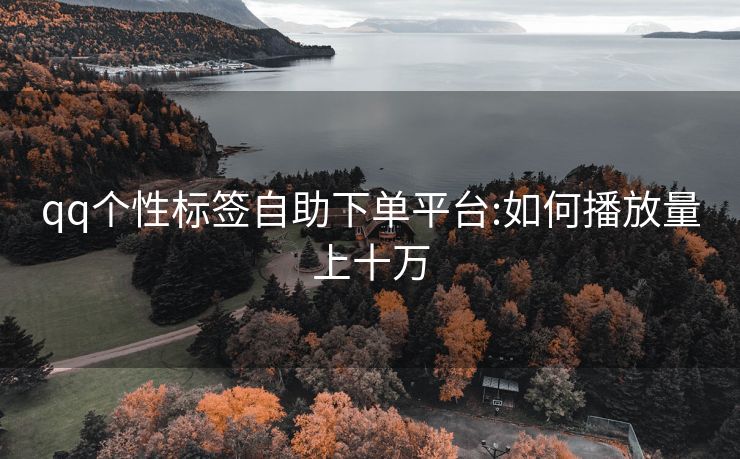 qq个性标签自助下单平台:如何播放量上十万