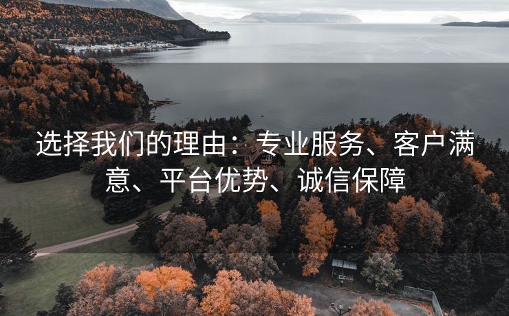 选择我们的理由：专业服务、客户满意、平台优势、诚信保障