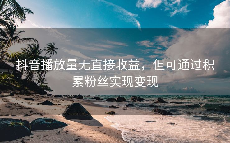 抖音播放量无直接收益，但可通过积累粉丝实现变现