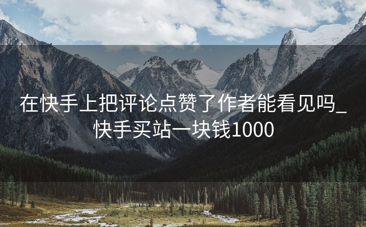在快手上把评论点赞了作者能看见吗_快手买站一块钱1000