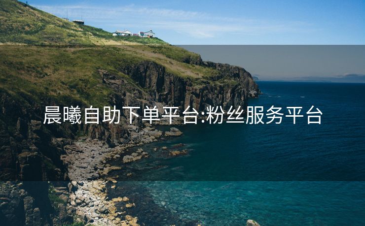 晨曦自助下单平台:粉丝服务平台