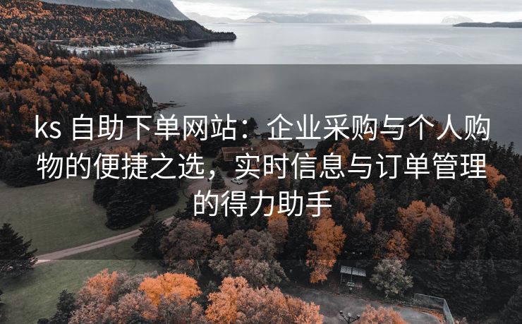 ks 自助下单网站：企业采购与个人购物的便捷之选，实时信息与订单管理的得力助手