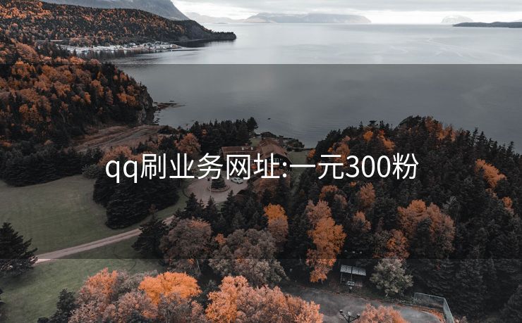 qq刷业务网址:一元300粉