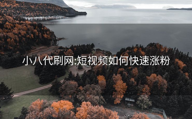 小八代刷网:短视频如何快速涨粉