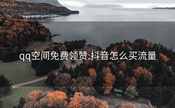 qq空间免费领赞:抖音怎么买流量