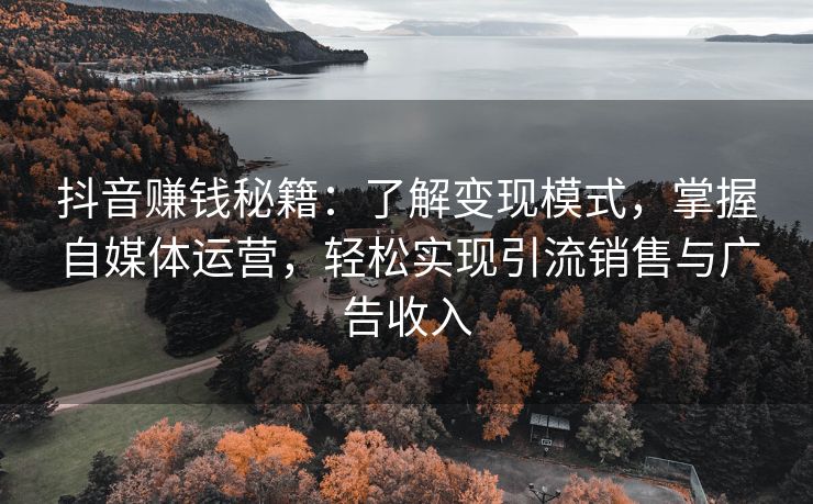 抖音赚钱秘籍：了解变现模式，掌握自媒体运营，轻松实现引流销售与广告收入