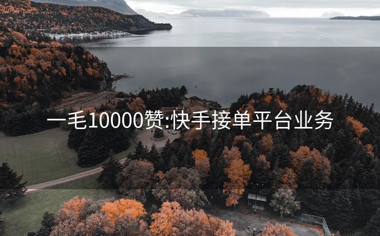 一毛10000赞:快手接单平台业务
