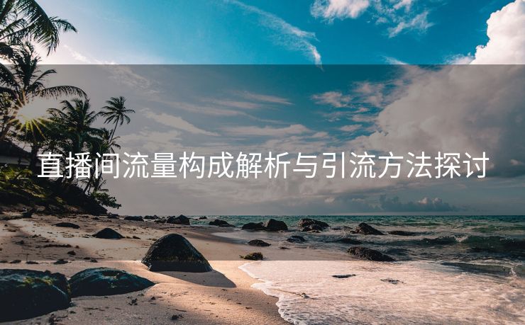 直播间流量构成解析与引流方法探讨