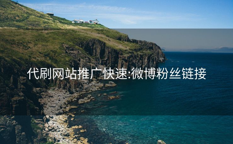 代刷网站推广快速:微博粉丝链接
