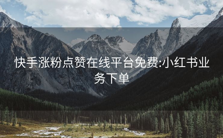 快手涨粉点赞在线平台免费:小红书业务下单